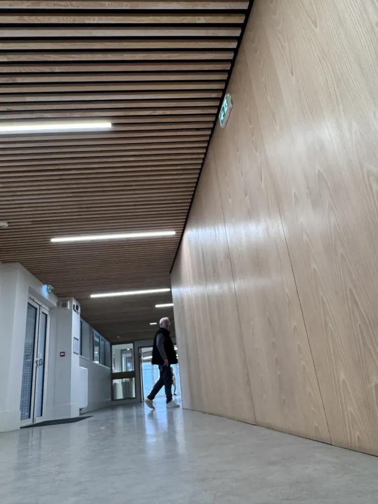 faux plafond (1) 