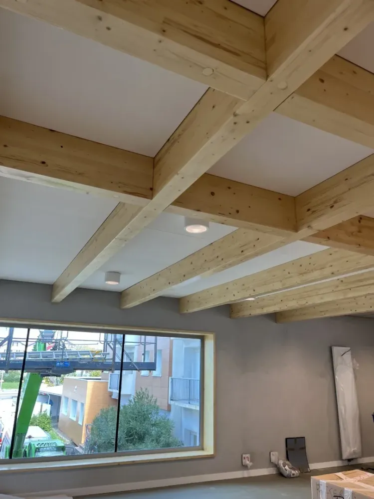 faux plafond (1) 