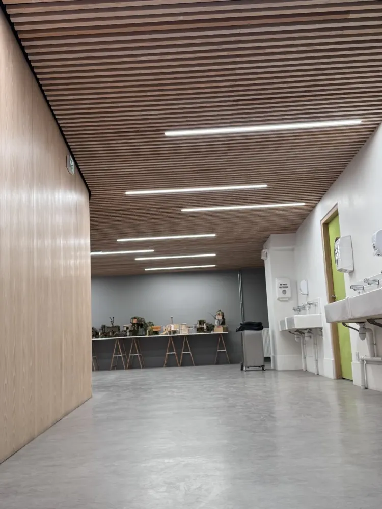 faux plafond (2) 