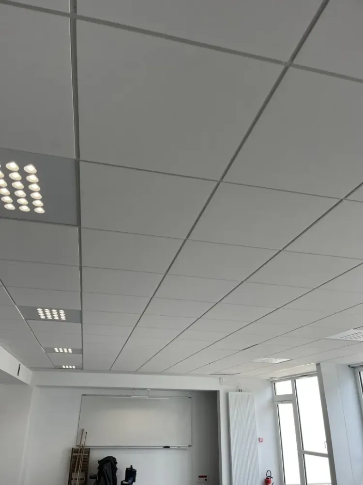 faux plafond (2) 