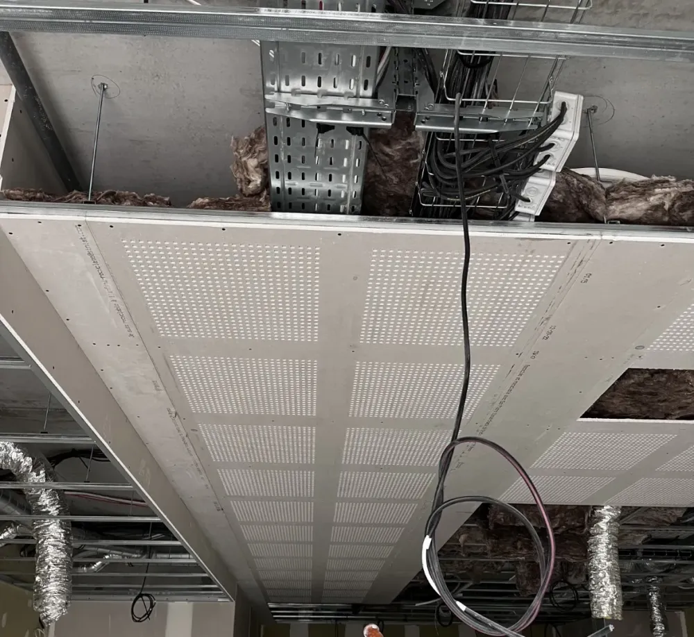 faux plafond (3) 