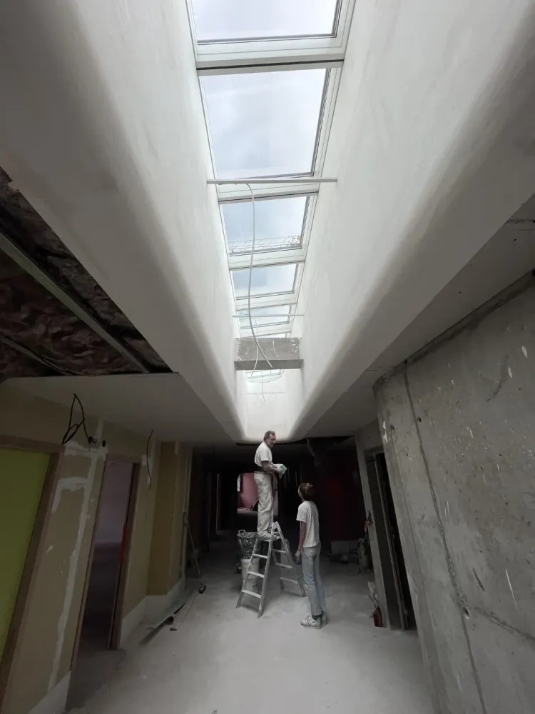 faux plafond (3) 