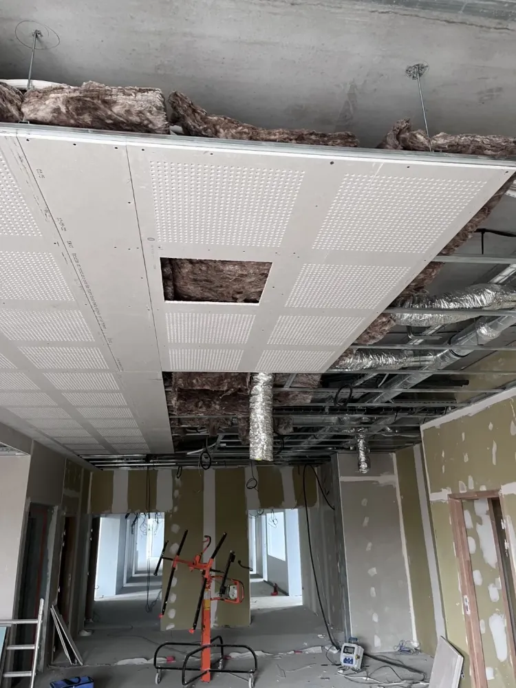 faux plafond (4) 